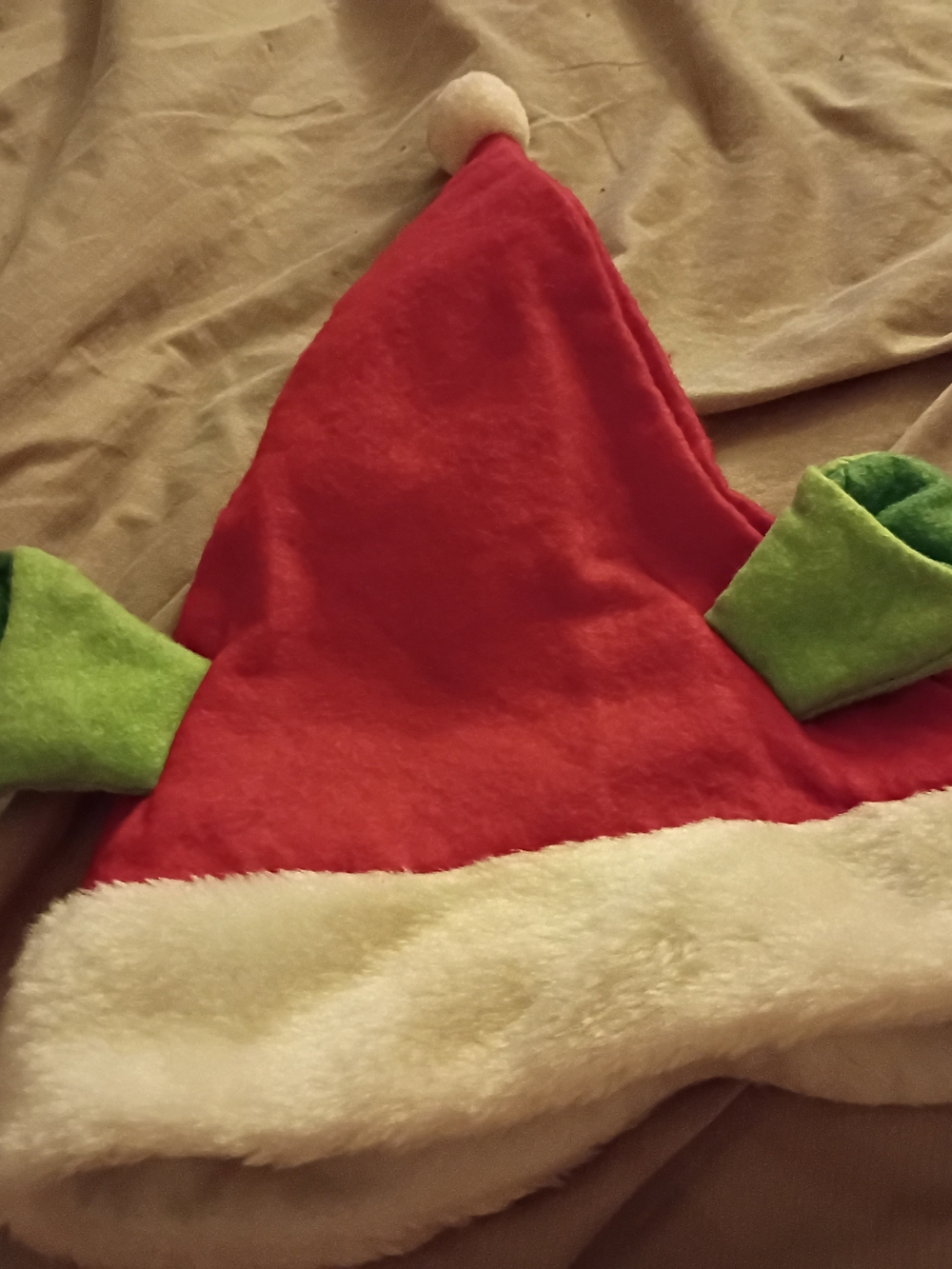 A Santa Claus Hat With SHREK'S EARS FOR KIDS